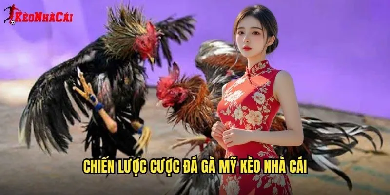 Chiến Lược Cược Đá Gà Mỹ Kèo Nhà Cái