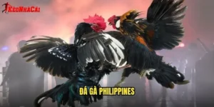 Đá Gà Philippines