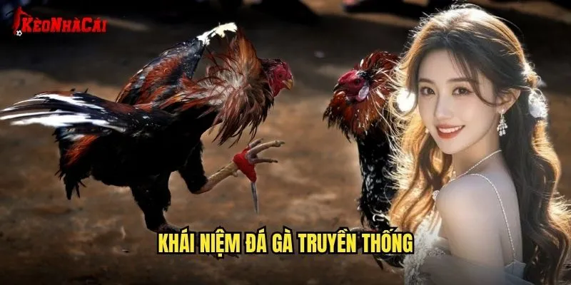 Khái Niệm Đá Gà Truyền Thống
