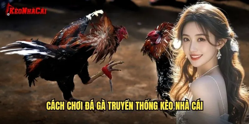 Cách Chơi Đá Gà Truyền Thống Kèo Nhà Cái
