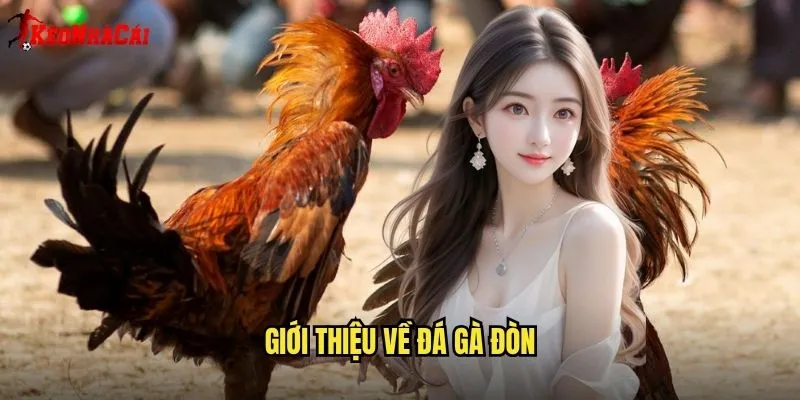 Giới Thiệu Về Đá Gà Đòn