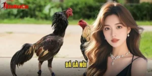 đá gà nòi