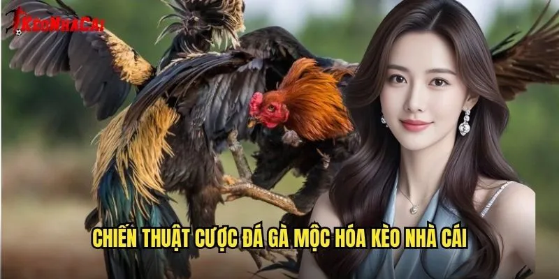 Chiến Thuật Cược Đá Gà Mộc Hóa Kèo Nhà Cái