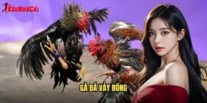 Gà Đá Vảy Rồng