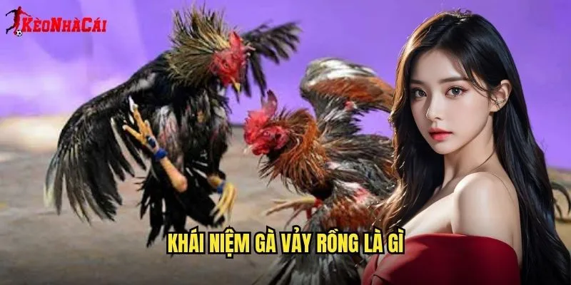 Gà Đá Vảy Rồng Quý Hiếm - Bí Mật Từ Kèo Nhà Cái 1 Khái Niệm Gà Vảy Rồng Là Gì