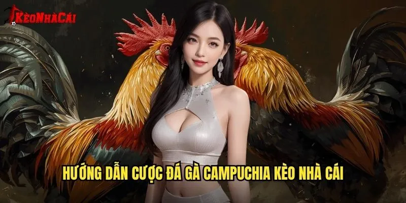 Đá Gà Campuchia Đỉnh Cao - Trải Nghiệm Kèo Nhà Cái 2 Hướng Dẫn Cược Đá Gà Campuchia Kèo Nhà Cái