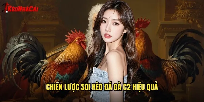 Chiến lược soi kèo đá gà c2 hiệu quả