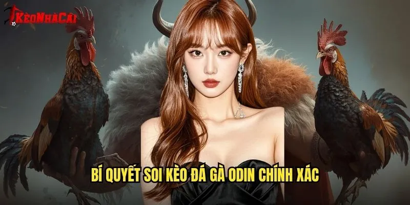 Bí quyết soi kèo đá gà Odin chính xác