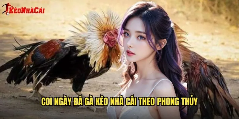 Coi ngày đá gà kèo nhà cái theo phong thủy