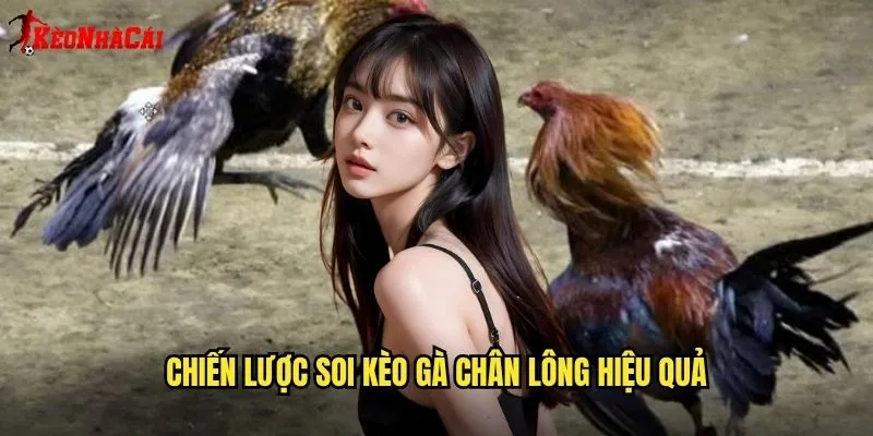 Chiến lược soi kèo gà chân lông hiệu quả