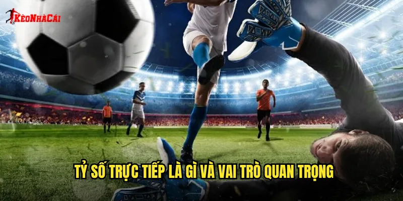 Tỷ số trực tiếp là gì và vai trò quan trọng