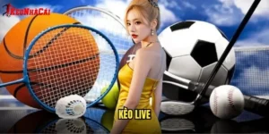 Kèo Live